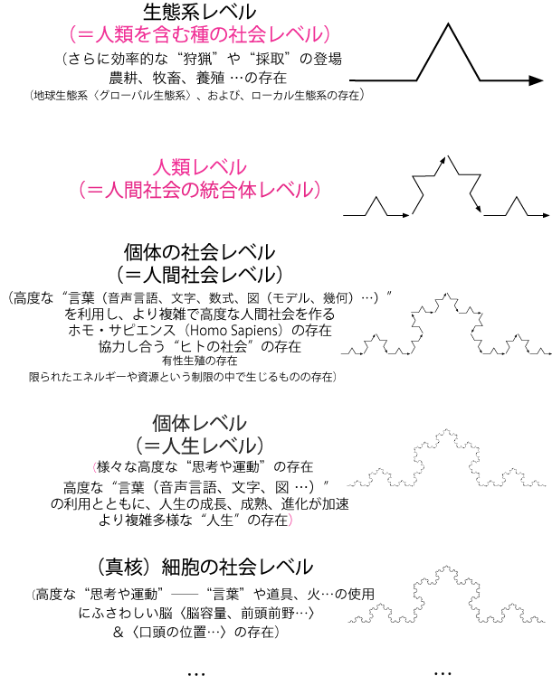 進化の流れ11 音声 文字 そして人類の進化が加速 一般３steps進化論